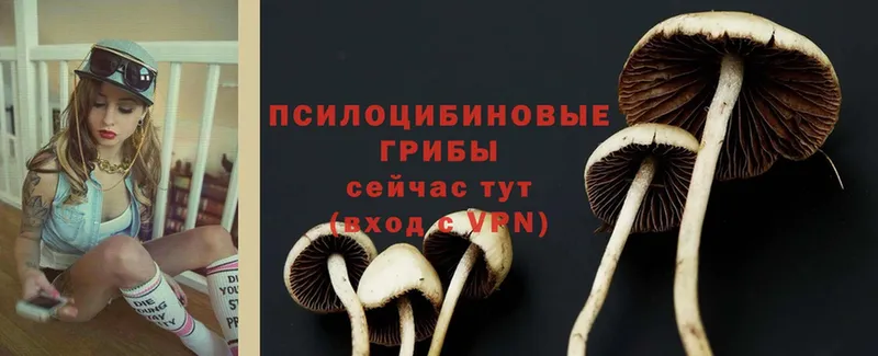 купить закладку  hydra ТОР  Псилоцибиновые грибы Magic Shrooms  Мирный 